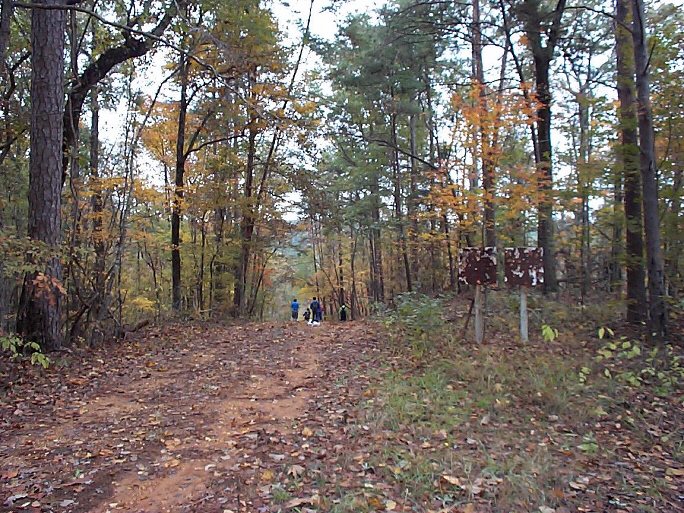 Coal Road, on the western side of the Black Warrior