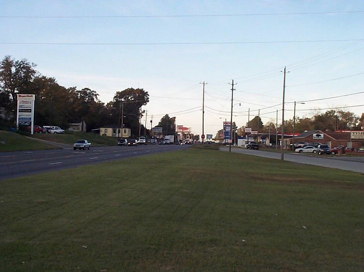 Lurleen Wallace Blvd