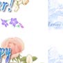 2003's Easter Guild Front