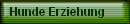Hunde Erziehung