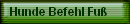 Hunde Befehl Fu�