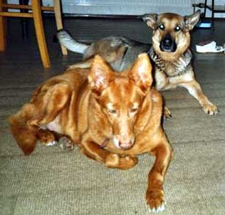Luki und Senta Luki und Senta