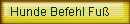 Hunde Befehl Fu�