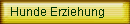Hunde Erziehung