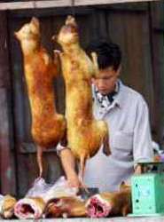 [Was b�se Menschen mit Hunden machen]