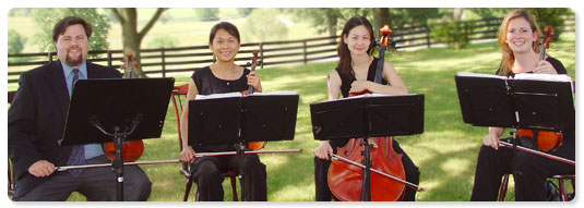 Photo of Haase Quartet