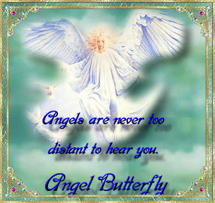 Angel Butterfly Gift