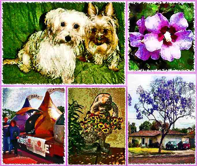 collage