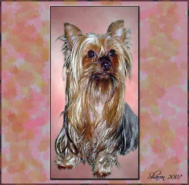 portrait of lizzie.