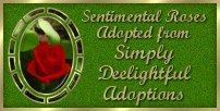 logo for deelight