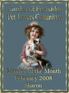 member of the month for february 2008