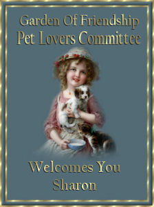 welcome from pet committee