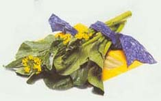 Choi Sum