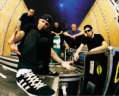1378truckBizkit1.jpg