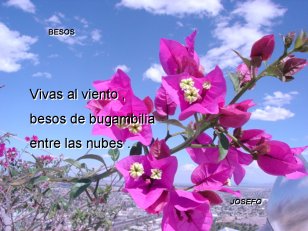Primavera