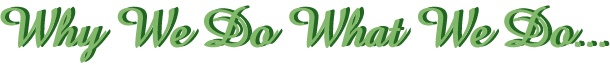 Why.JPG (19894 bytes)