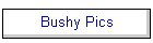 Bushy Pics