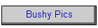 Bushy Pics