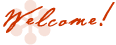 Welcome to SurajOnline