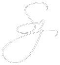 SZ Logo