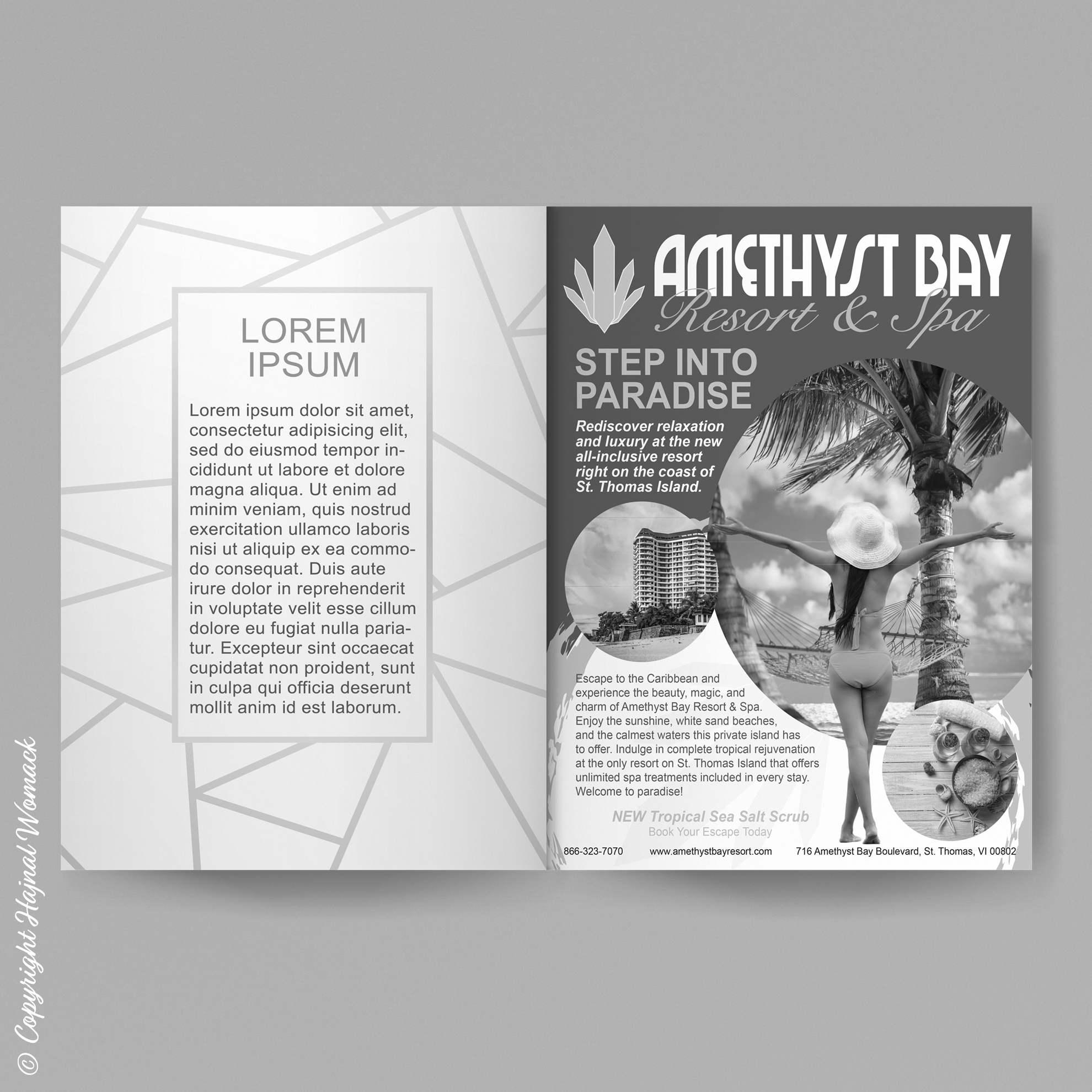 hajnal womack amethyst bay print ad preview - © copyright hajnal womack 2019 all rights reserved