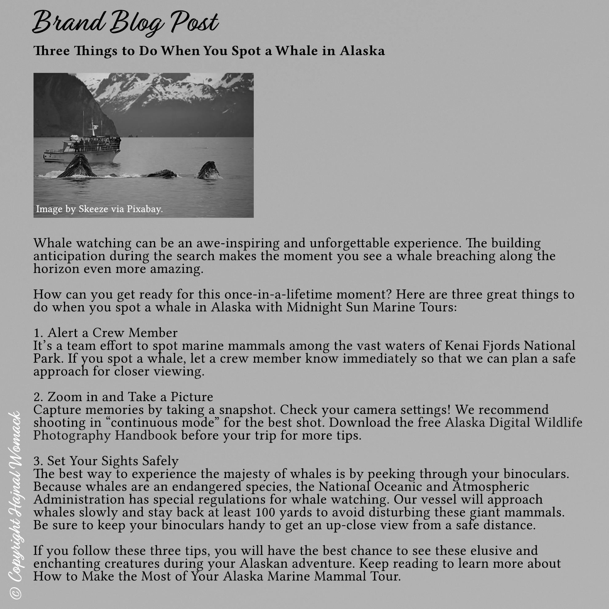hajnal womack brand blog post preview clip - © copyright hajnal womack 2019 all rights reserved