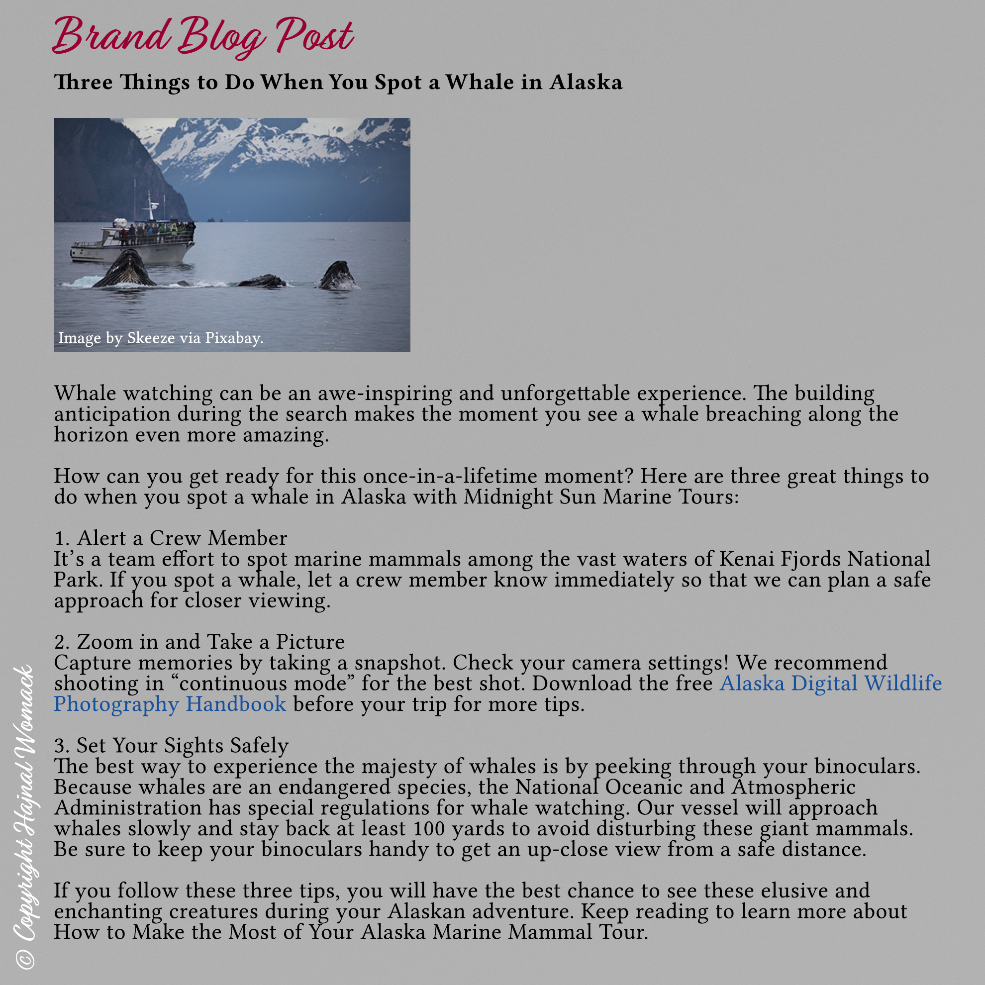 hajnal womack brand blog post clip - © copyright hajnal womack 2019 all rights reserved