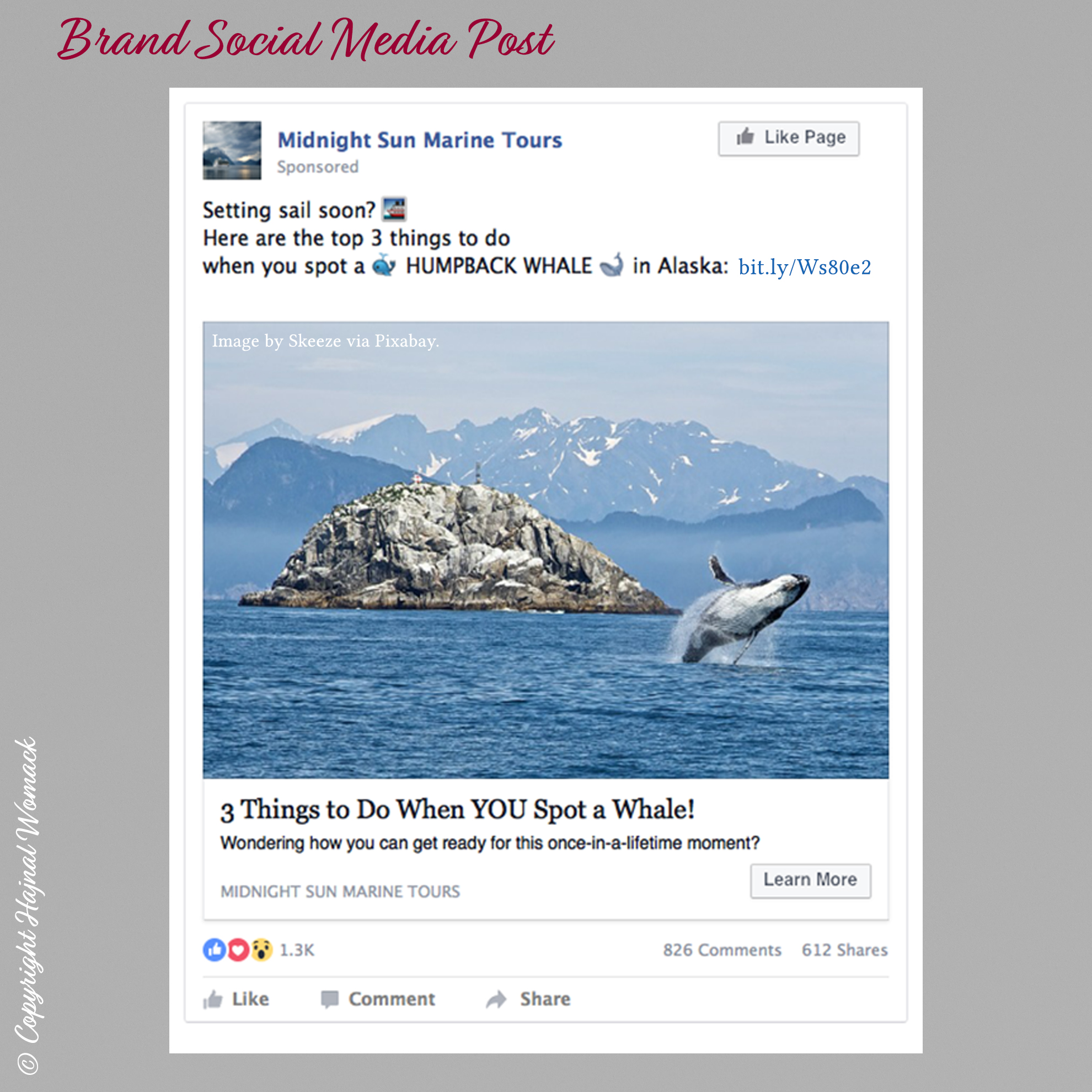hajnal womack brand social media facebook post clip - © copyright hajnal womack 2019 all rights reserved
