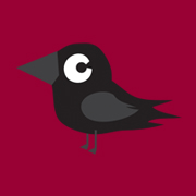 raven logo on red background - © copyright hajnal womack 2019 all rights reserved