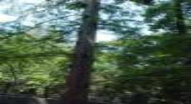 Go to fullsize image