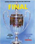 Programme from the Halesowen v Southall FA Vase final