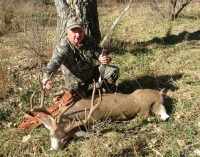 Mule Deer Buck