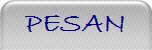 PESAN