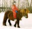 � Ekskogen Stuteri 