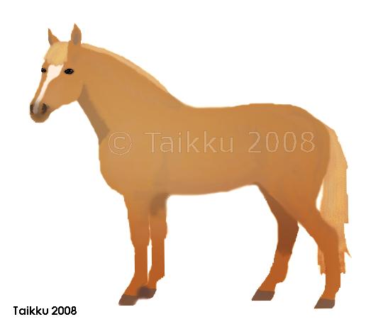 copyright Taikku