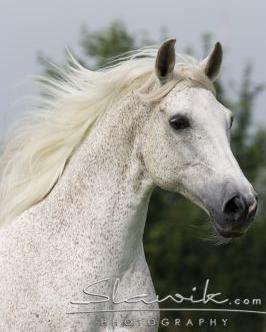copyright Christiane Slawik
