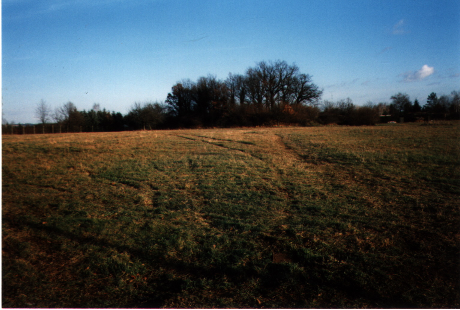 Halde.jpg (367855 Byte)