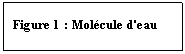 Zone de Texte: Figure 1 : Mol�cule d'eau
