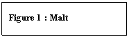 Zone de Texte: Figure 2 : Malt