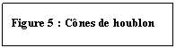 Zone de Texte: Figure 5 : C�nes de houblon