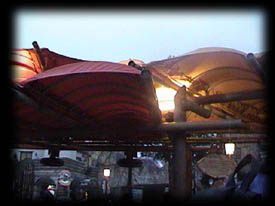 lights