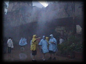 Rain Ponchos!!!