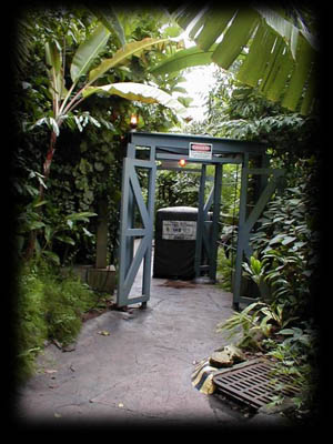 Tricertops Discovery Trail