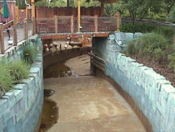 Popeye's drained out of station