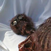 Corpse in the coffin