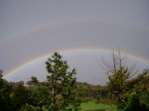 Rainbow, 2005
