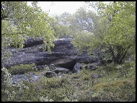 Stein i kratt - fr� V�rstigen
