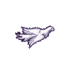 dove