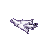 dove
