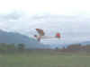 tcjune12lowpass.jpg (36074 bytes)